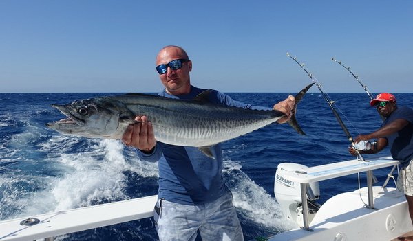 makrela Commersonova - king mackerel 115 cm