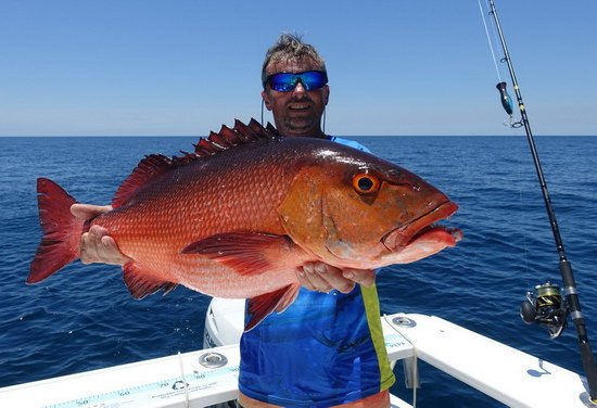 chnapal bohar - red snapper 78 cm uloveny na popp