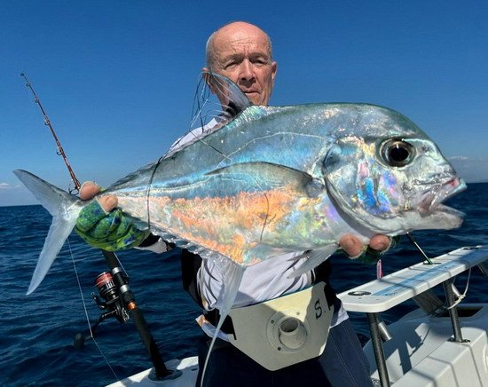 kranas vlakonoploutvy (Alectis ciliaris, African pompano, Mussolini)