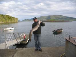 Mnik morsky 121 cm, Tingvollfjord