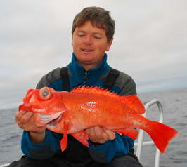 okounik 48 cm, z hloubky 250 m, cervenec, Finnmark