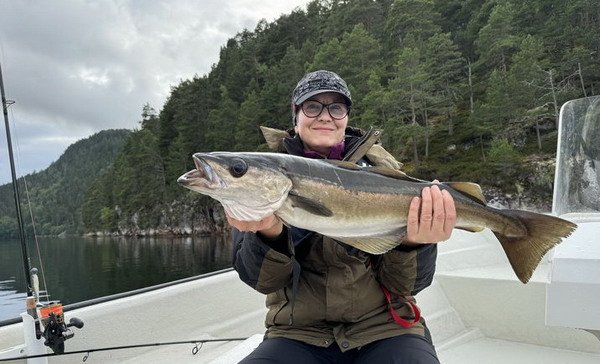 letni polak z Tingvollfjordu, foto Jirka Fraus